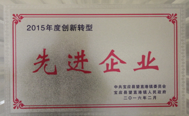 公司近期所获宝应县望直港镇党委、政府授予的荣誉