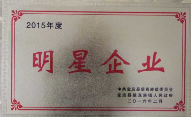 公司近期所获宝应县望直港镇党委、政府授予的荣誉